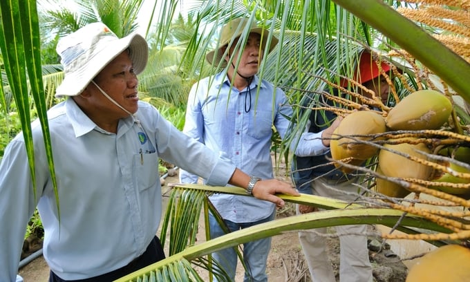 nganh-trai-cay-viet-nam-2025-co-hoi-va-thach-thuc
